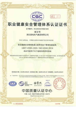 职业健康安管体系认证书